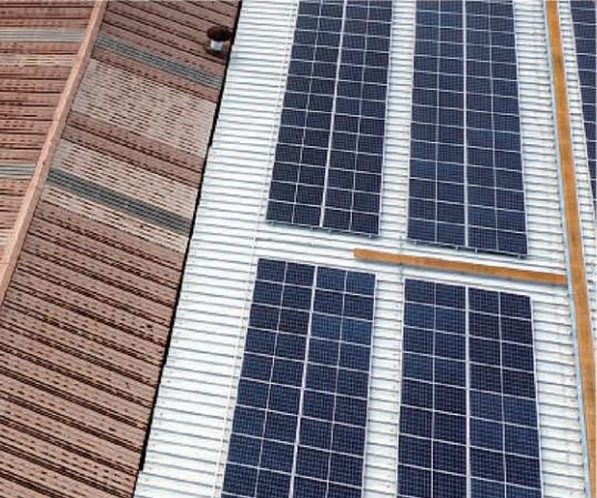 常州溶剂型醇酸底漆